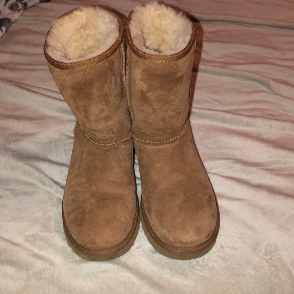Chestnut UGG Boots